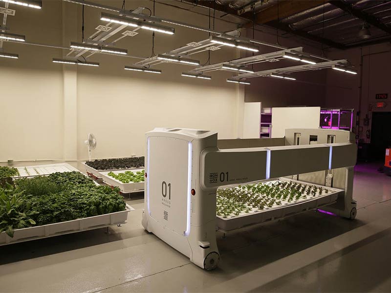 "أنجوس" المزارع الآلي... تعرف إلى قصته